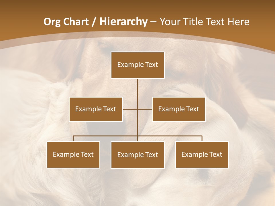 Asleep Brown Camera PowerPoint Template