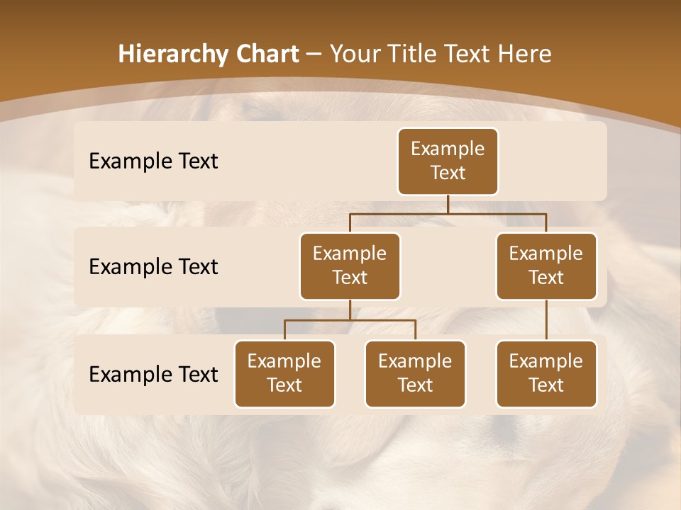 Asleep Brown Camera PowerPoint Template