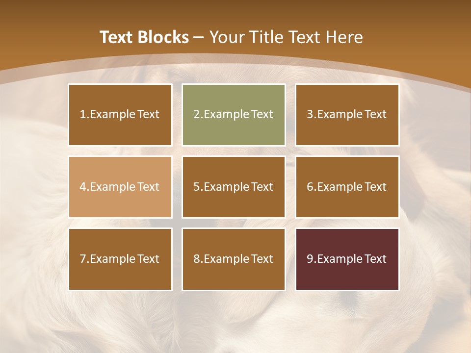 Asleep Brown Camera PowerPoint Template