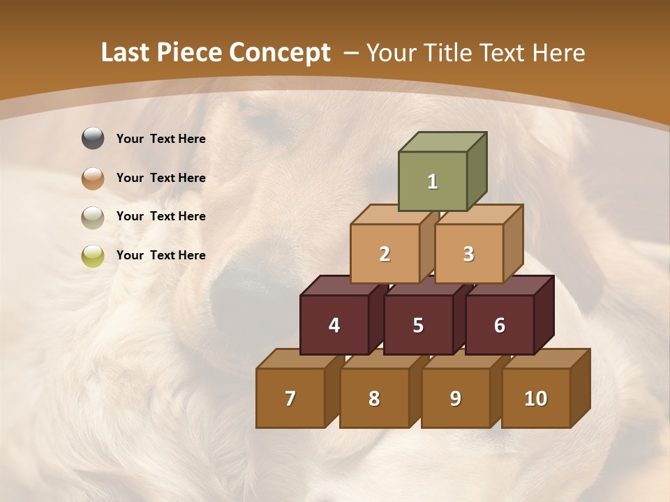 Asleep Brown Camera PowerPoint Template