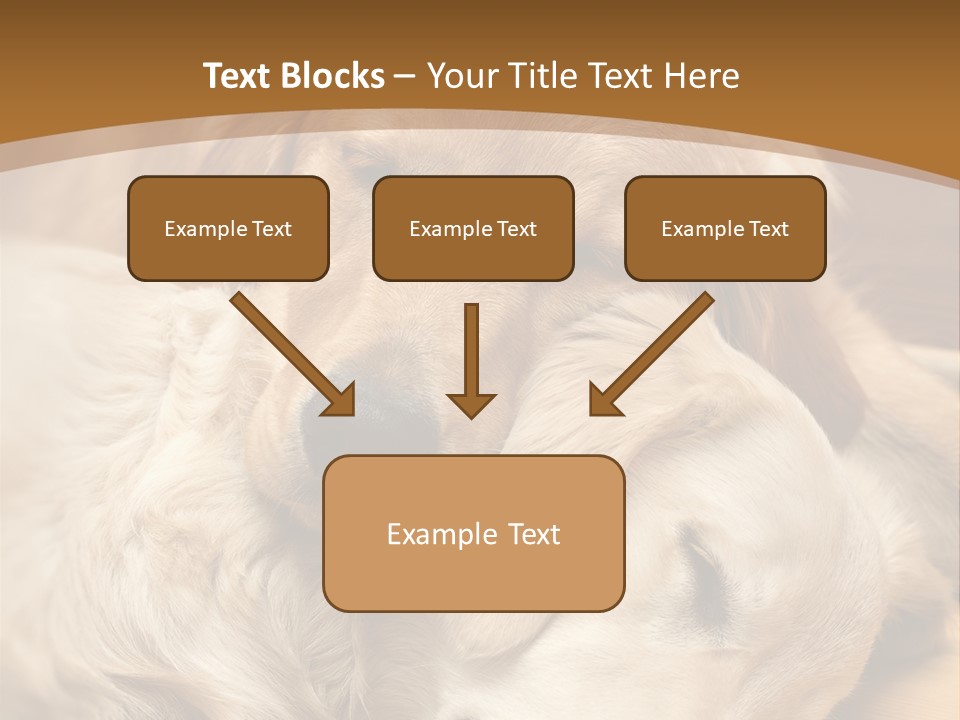 Asleep Brown Camera PowerPoint Template