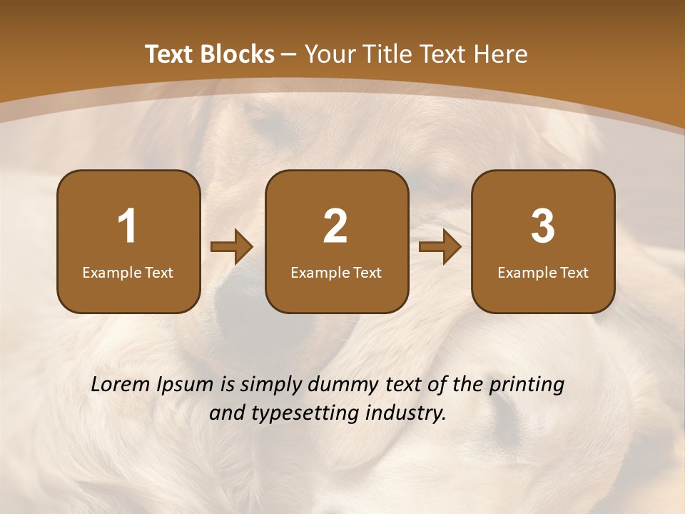 Asleep Brown Camera PowerPoint Template
