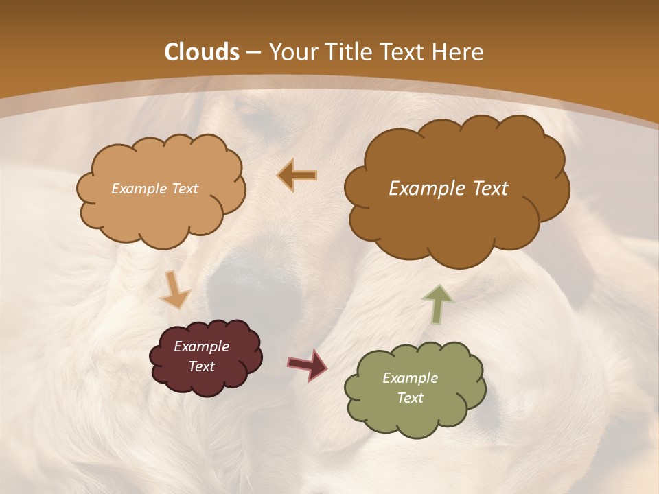 Asleep Brown Camera PowerPoint Template