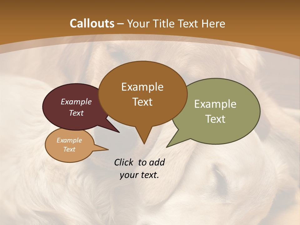 Asleep Brown Camera PowerPoint Template