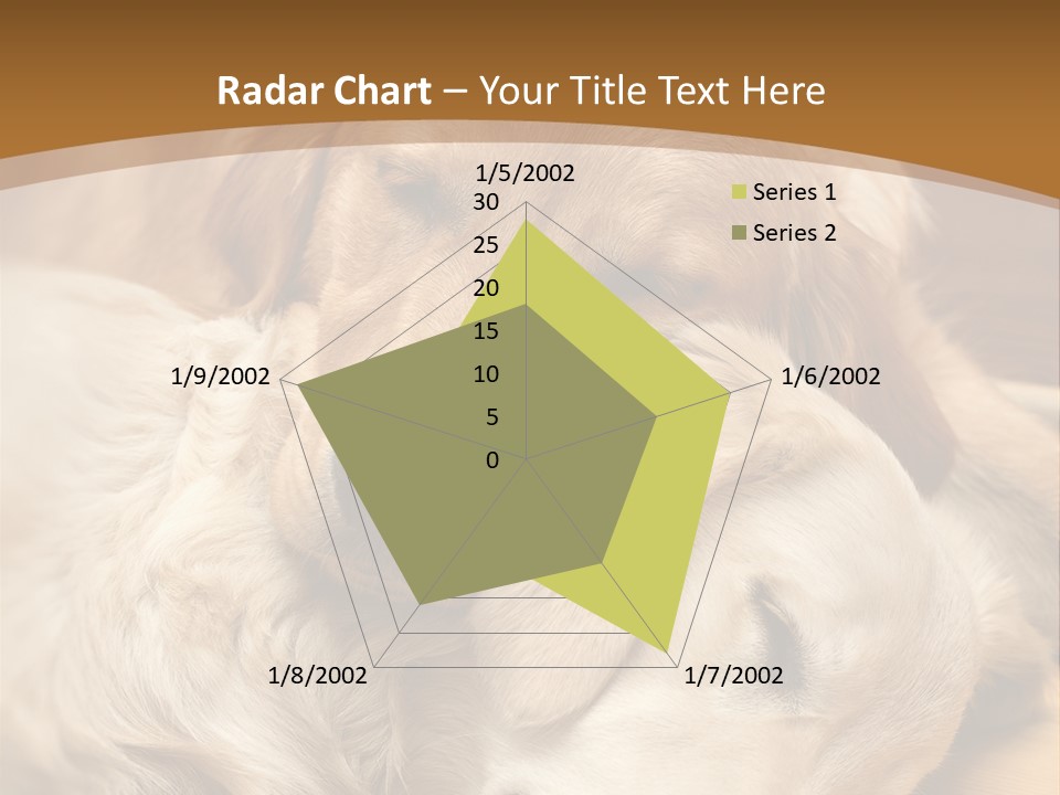 Asleep Brown Camera PowerPoint Template