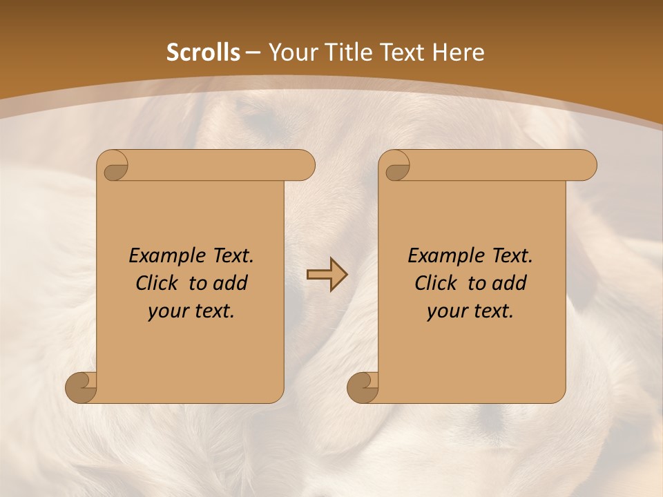 Asleep Brown Camera PowerPoint Template