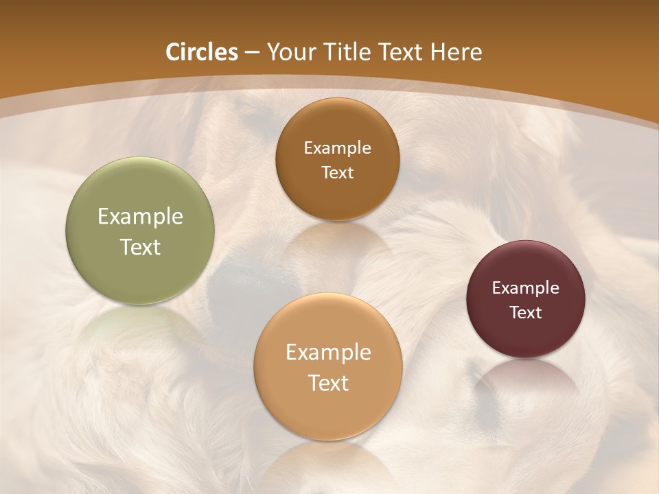 Asleep Brown Camera PowerPoint Template