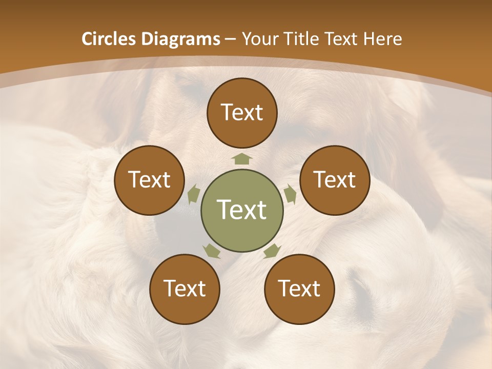 Asleep Brown Camera PowerPoint Template