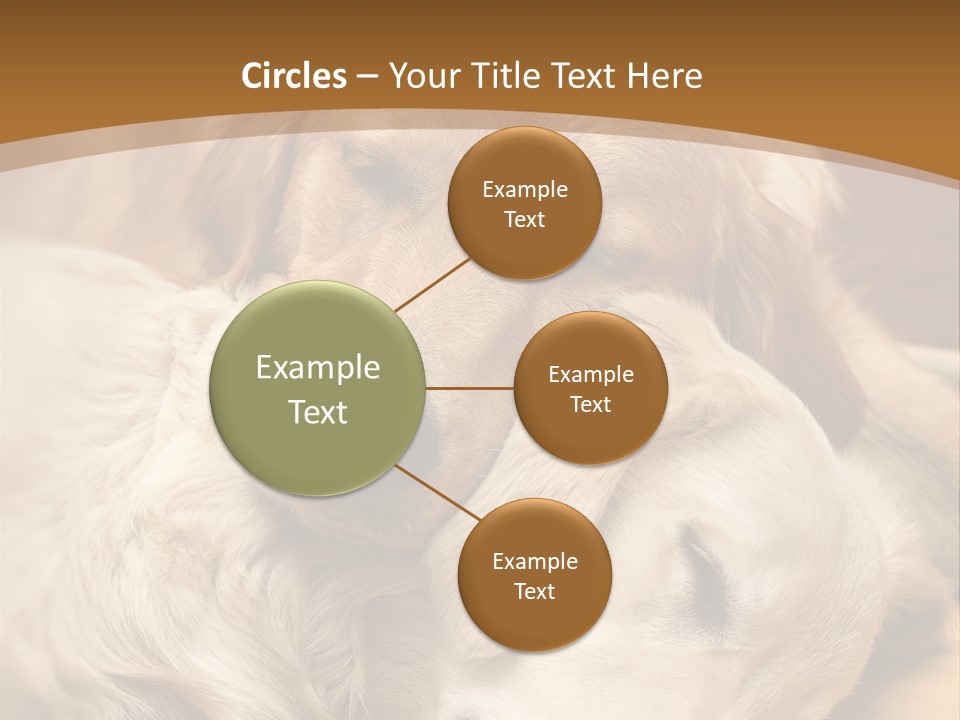 Asleep Brown Camera PowerPoint Template