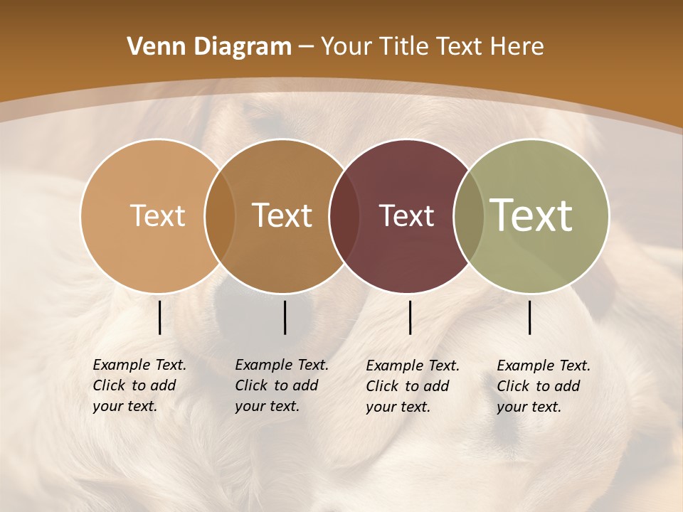 Asleep Brown Camera PowerPoint Template