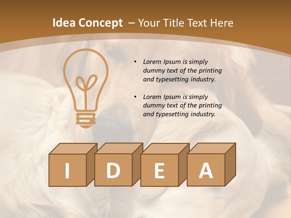 Asleep Brown Camera PowerPoint Template