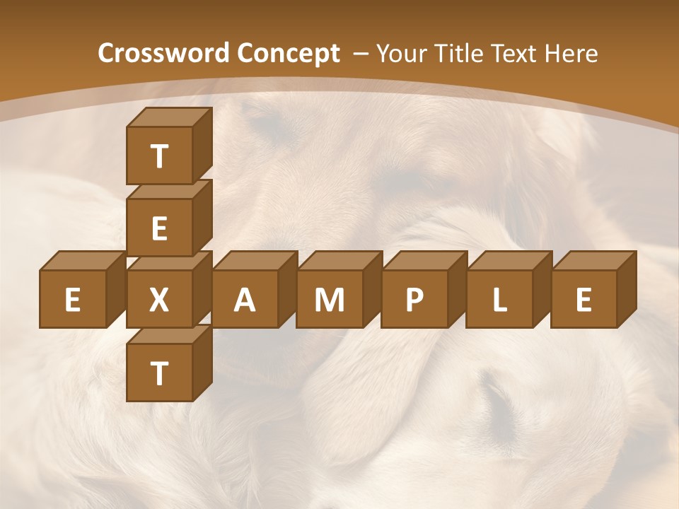 Asleep Brown Camera PowerPoint Template