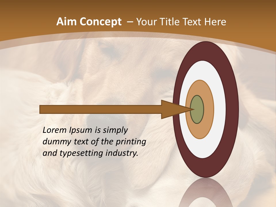 Asleep Brown Camera PowerPoint Template