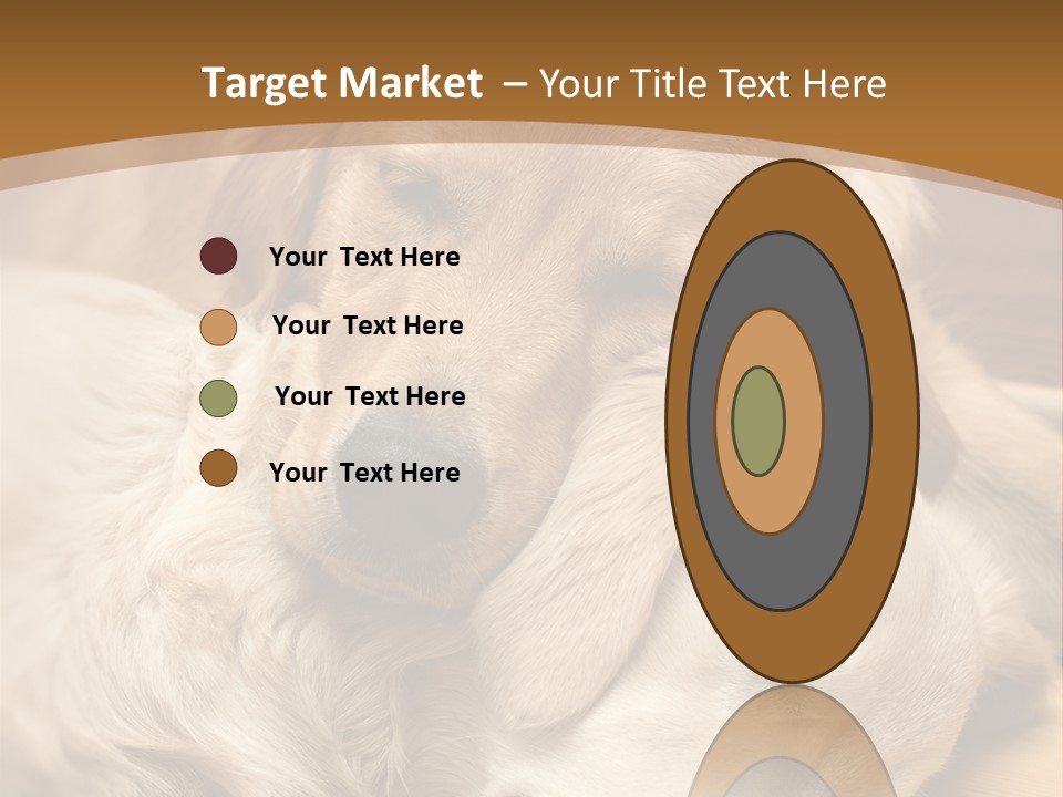 Asleep Brown Camera PowerPoint Template