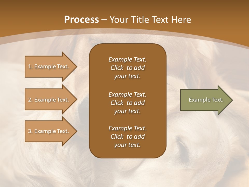 Asleep Brown Camera PowerPoint Template