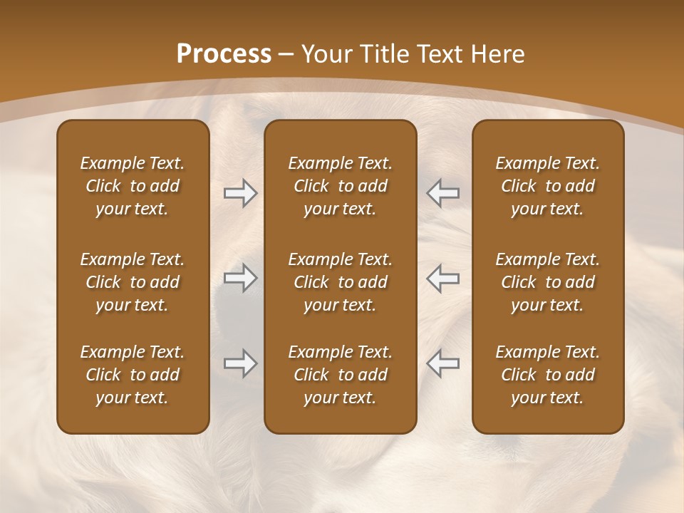 Asleep Brown Camera PowerPoint Template