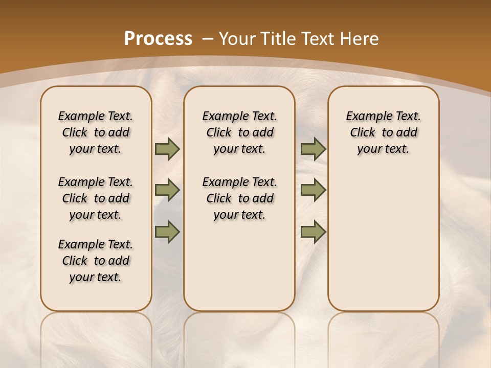 Asleep Brown Camera PowerPoint Template
