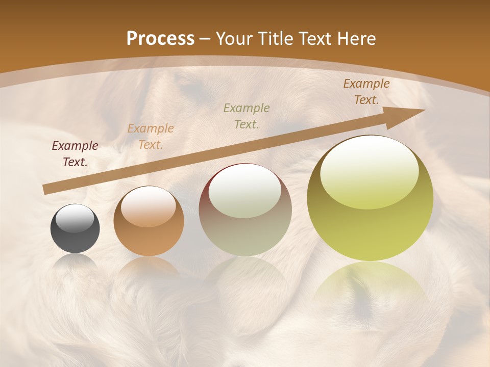 Asleep Brown Camera PowerPoint Template