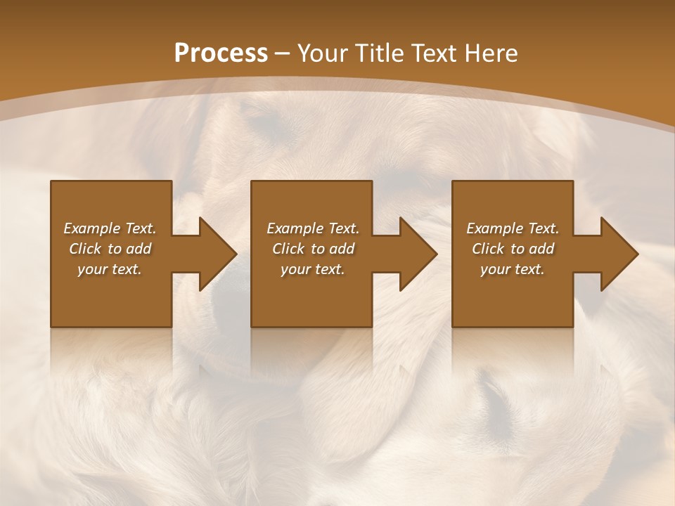Asleep Brown Camera PowerPoint Template
