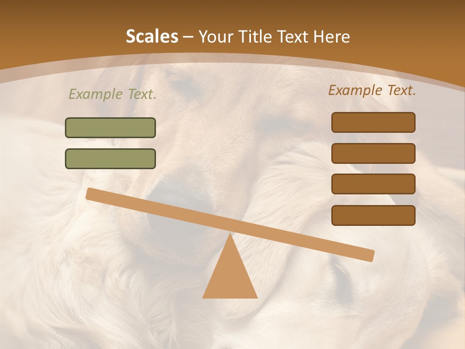 Asleep Brown Camera PowerPoint Template
