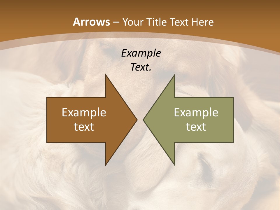 Asleep Brown Camera PowerPoint Template