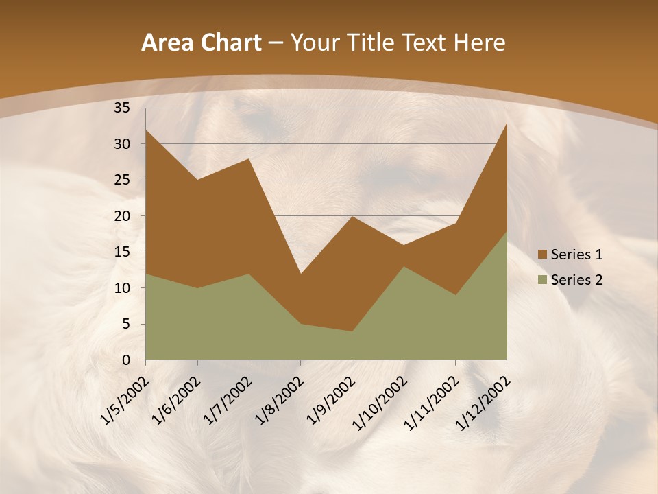 Asleep Brown Camera PowerPoint Template