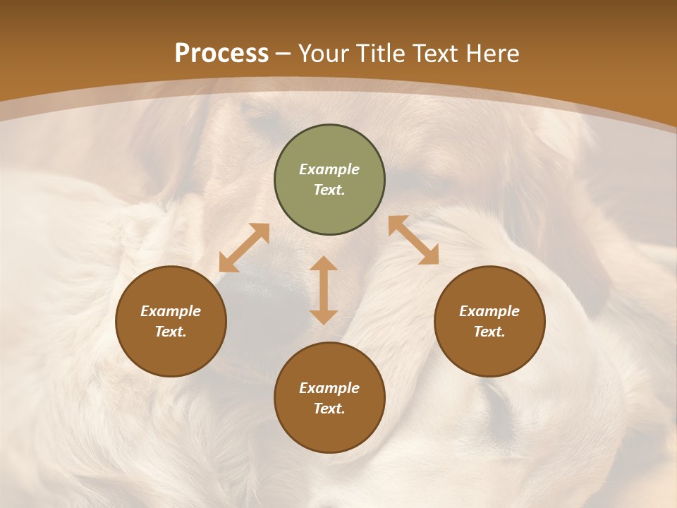 Asleep Brown Camera PowerPoint Template