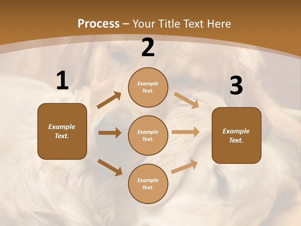 Asleep Brown Camera PowerPoint Template