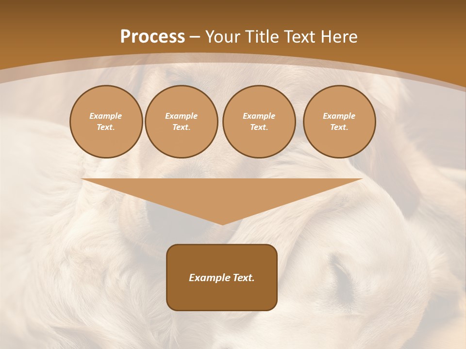 Asleep Brown Camera PowerPoint Template