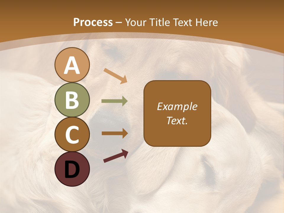 Asleep Brown Camera PowerPoint Template