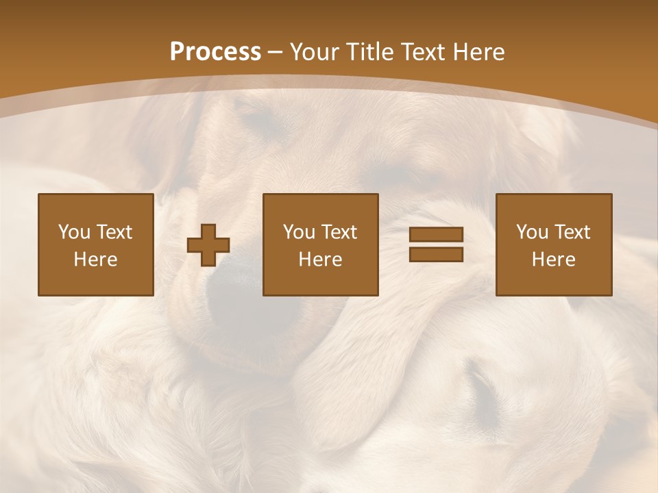 Asleep Brown Camera PowerPoint Template