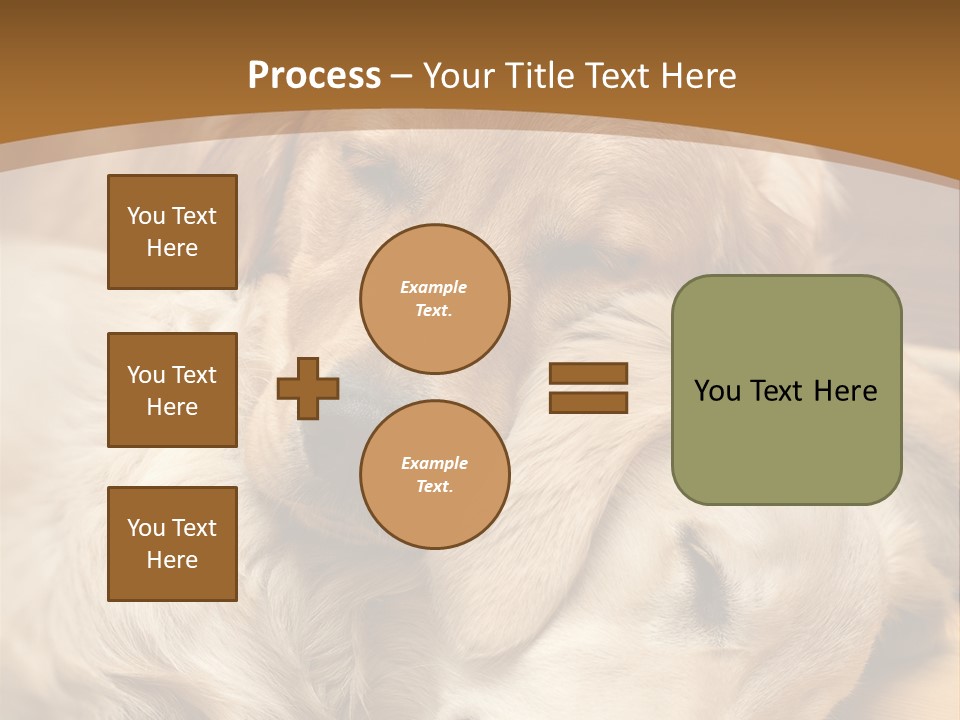 Asleep Brown Camera PowerPoint Template
