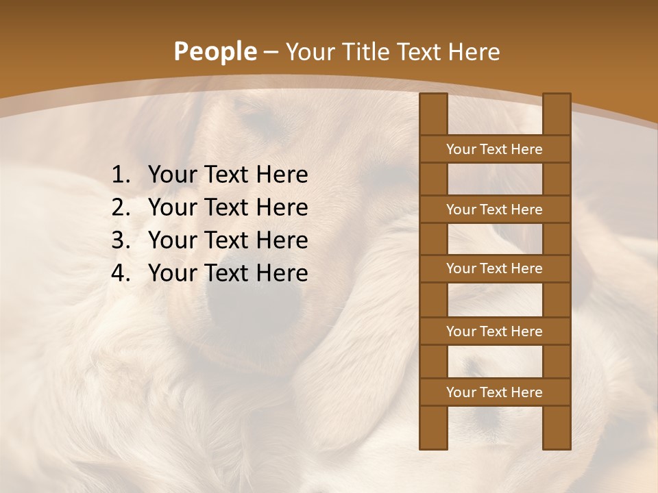 Asleep Brown Camera PowerPoint Template
