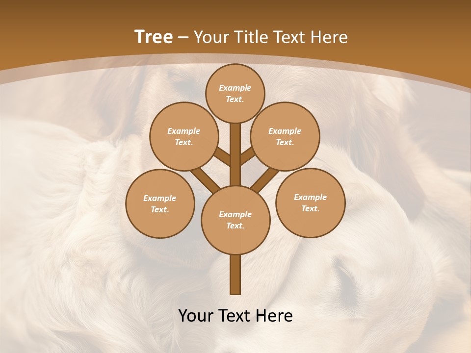 Asleep Brown Camera PowerPoint Template