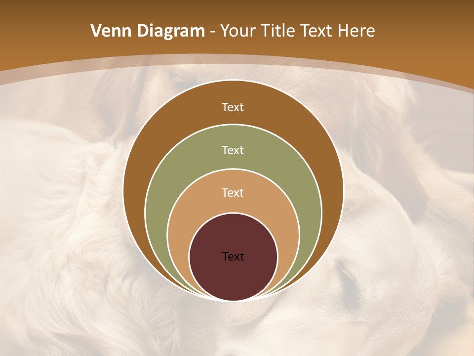 Asleep Brown Camera PowerPoint Template