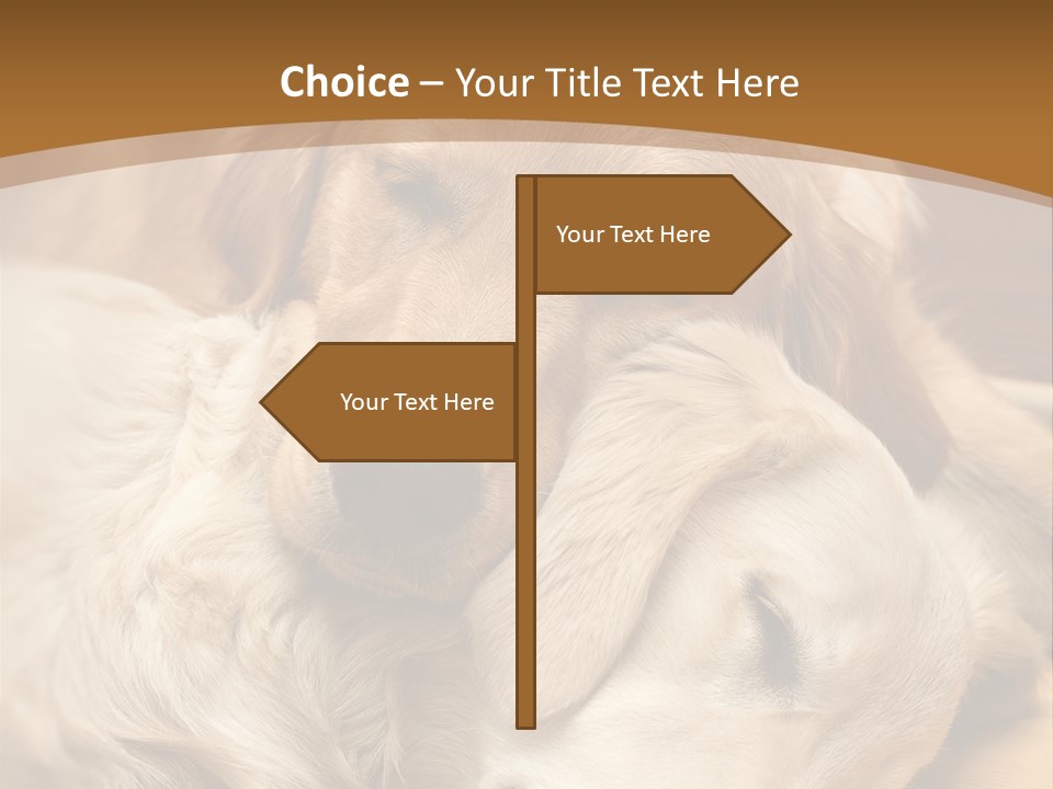 Asleep Brown Camera PowerPoint Template