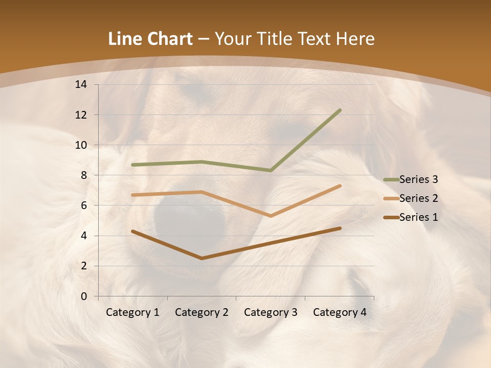 Asleep Brown Camera PowerPoint Template