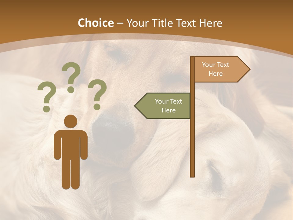 Asleep Brown Camera PowerPoint Template