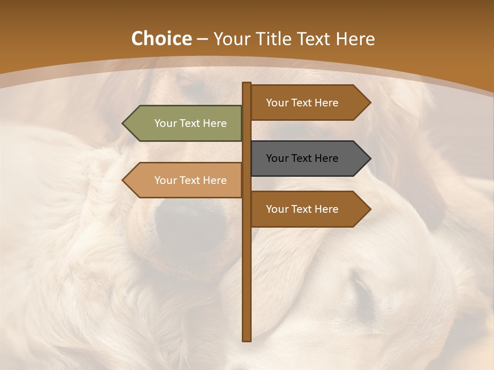 Asleep Brown Camera PowerPoint Template