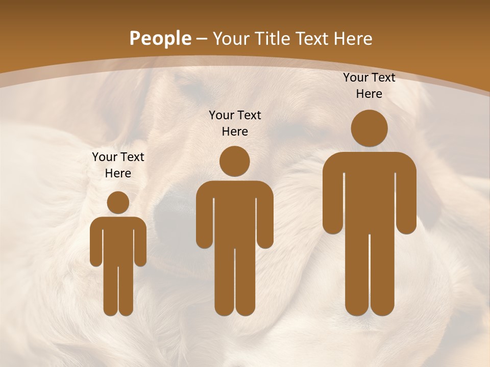 Asleep Brown Camera PowerPoint Template