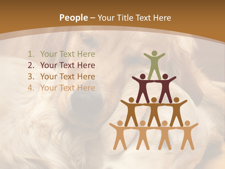 Asleep Brown Camera PowerPoint Template