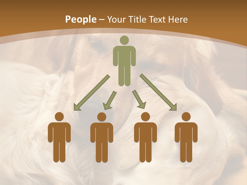 Asleep Brown Camera PowerPoint Template