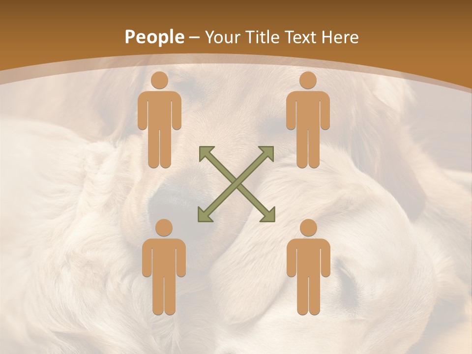 Asleep Brown Camera PowerPoint Template