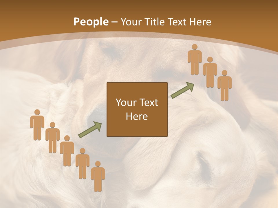 Asleep Brown Camera PowerPoint Template