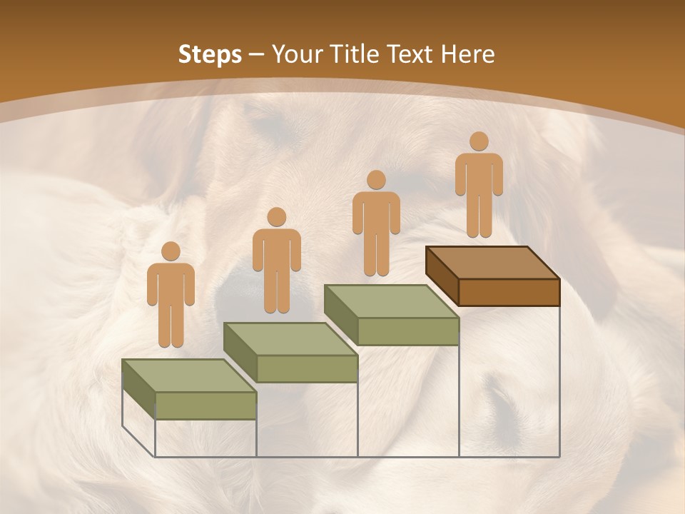 Asleep Brown Camera PowerPoint Template