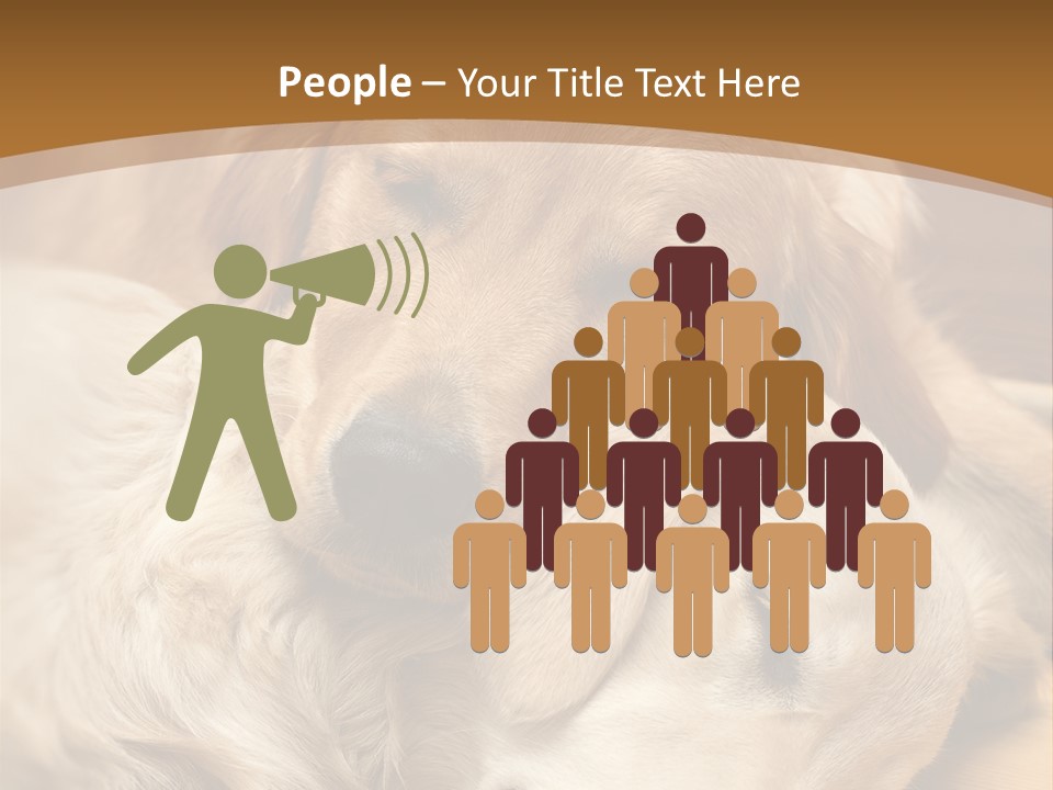 Asleep Brown Camera PowerPoint Template