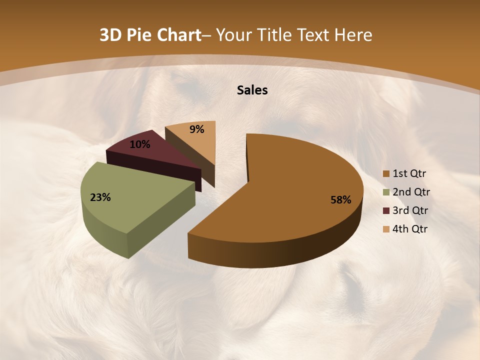 Asleep Brown Camera PowerPoint Template