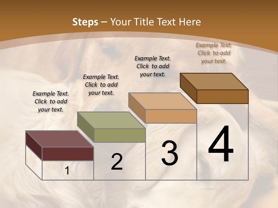 Asleep Brown Camera PowerPoint Template