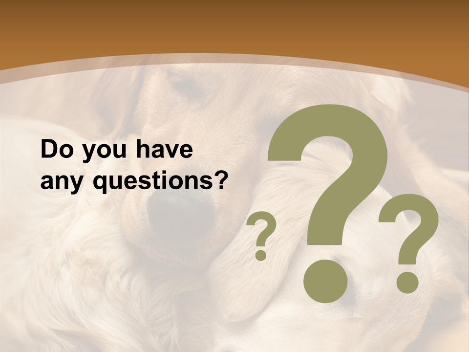 Asleep Brown Camera PowerPoint Template