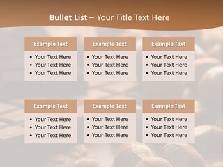Food Temptations Sweet PowerPoint Template